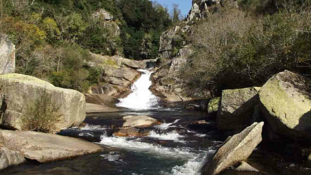 Caldas de Reis